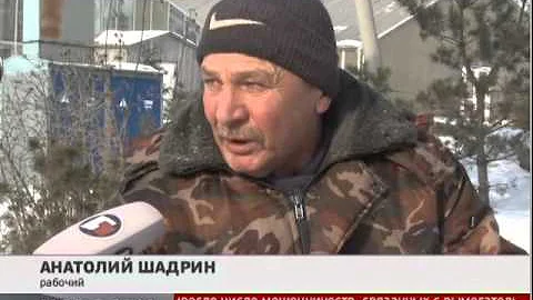 Доски из тополя. Новости. GuberniaTV