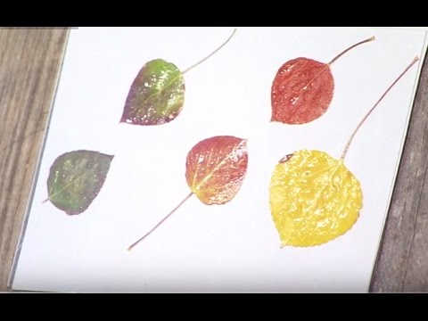How to Preserve Fall Leaves - Easy DIY