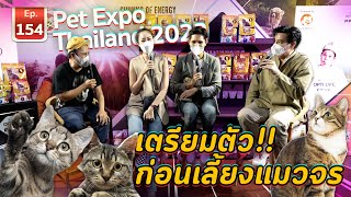 Pet Expo Thailand 2022 เตรียมตัวก่อนเลี้ยงแมวจร - เพื่อนรักสัตว์เอ้ย EP.154