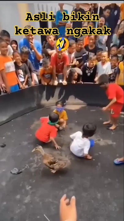 kelucuan bocil lomba tangkap bebek bikin ketawa ngakak/funny videos comedy #shorts #videolucu #funny