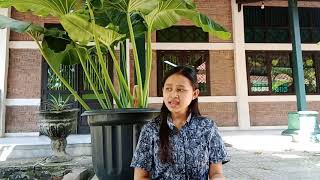 Lara wudhu gending kethuk 2 kerep minggah ladrang cluntang Laras slendro pathet sanga