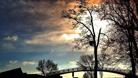 سورة إبراهيم من الآية ١٢ إلى الآية ١٤ بصوت القارئ إسلام صبحي ❀