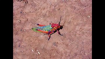 Animating Still Photos - Parallax 2.5D