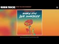 Robin Thicke - When You Love Somebody (Lyrics Music)