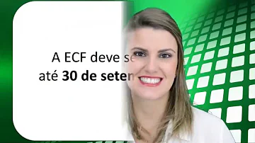 O que é o Bloco 0 na ECF?