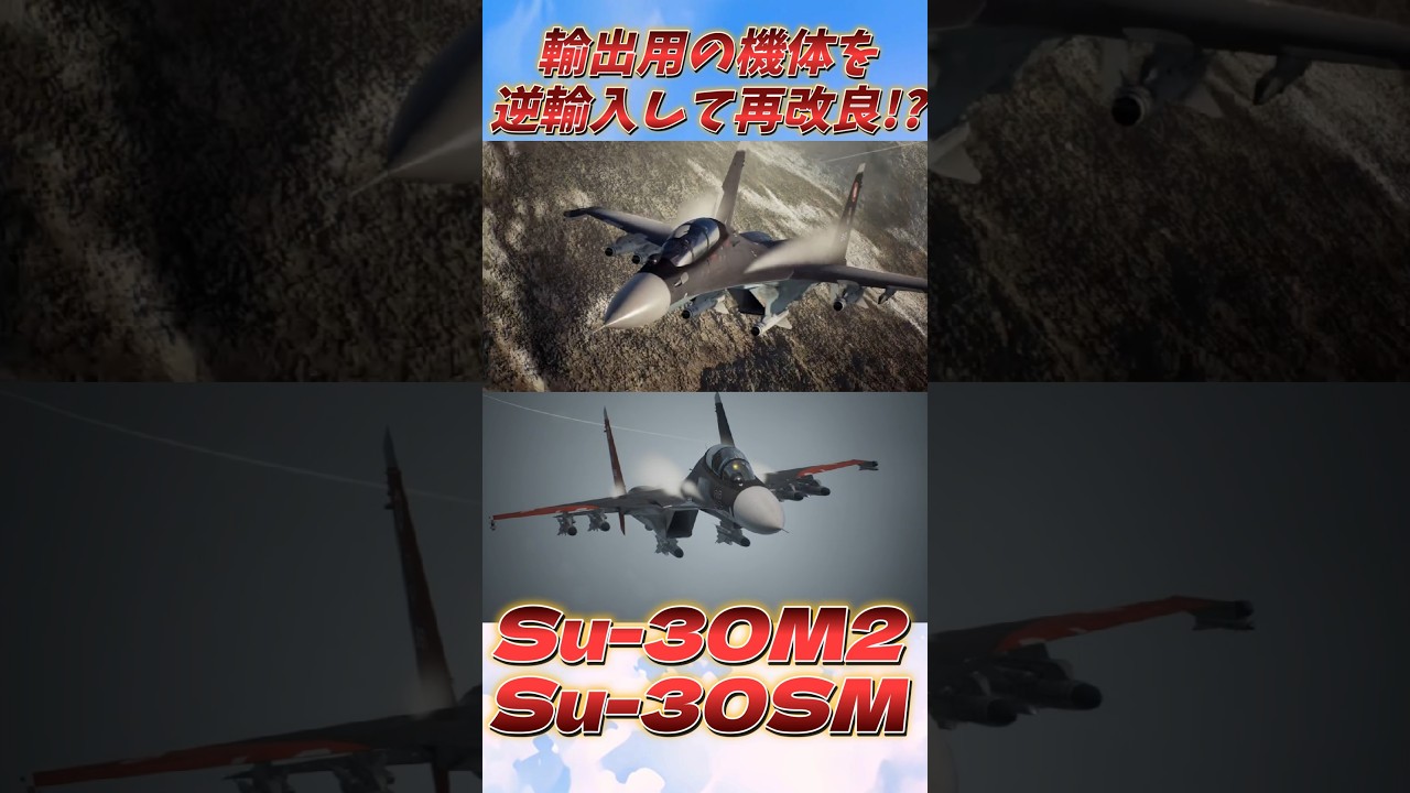 輸出用の機体を逆輸入して再改良!?Su-30M2/Su-30SM #shorts #acecombat #vtuber