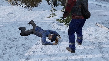"Survey" - DayZ Adventures With Random Survivors