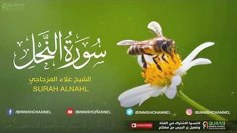 سورة النحل كاملة للقارئ الشيخ علاء المزجاجي