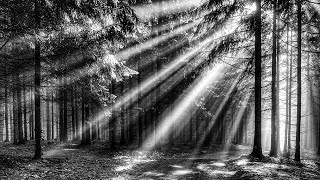 11 Minutes of Beautiful Morning Meditation Ep. 3