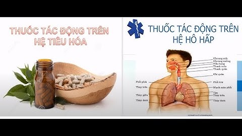 Hoá dược 2 | Buổi 3 : Thuốc tác động lên hệ Tiêu hoá + Hô hấp - Cô Ngọc