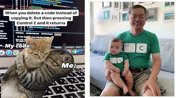 Funny Memes Programmers Created When They Weren’t Coding