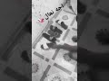 الحبني اخلي علة راسي والكرهني مثل هذة النعال