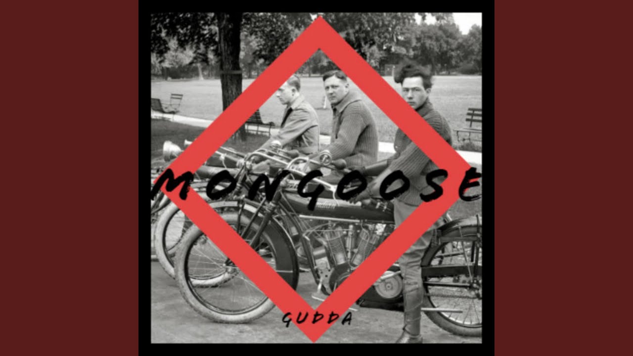 Watch Mongoose on YouTube Watch Mongoose on YouTube