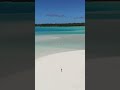 Aitutaki, Cook Islands | Remote Tropical Paradise | Best Island in the World #shorts #funemployedfam