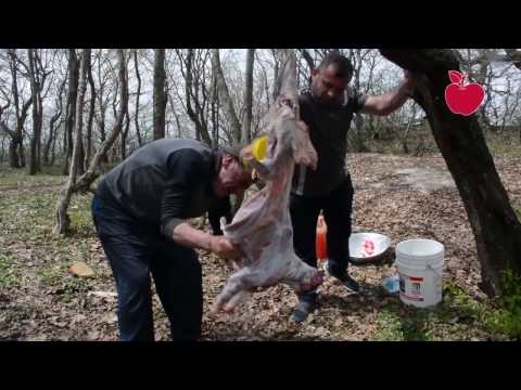 სოფელ ბერშუეთის სალოცავი გამყოფ ხაზთან