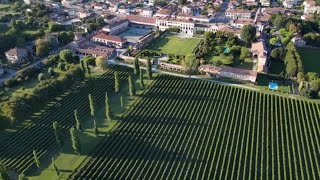 Exclusive Wine Tasting Experience at Villa Widmann Borletti (Dominio di Bagnoli)