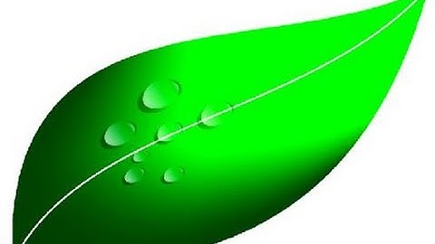 HOW TO MAKE THE WATER DROPLETS ON THE LEAVES WITH CORELDRAW