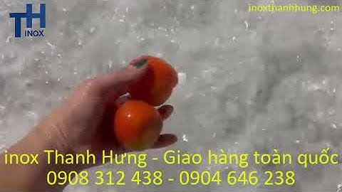 Máy rửa trái cây, nông sản | Máy rửa rau, củ, quả công suất lớn | inox Thanh Hưng