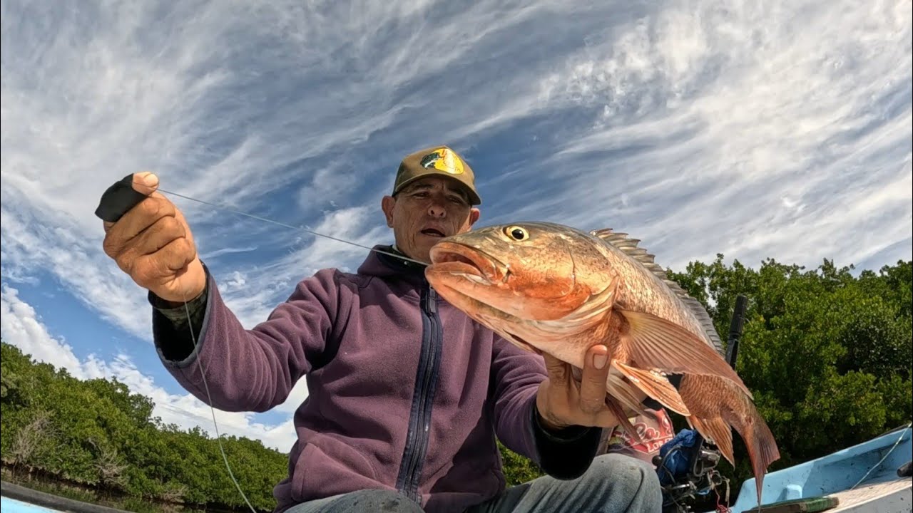 Pesca de Pargos con piola en Mano modo Artesanal