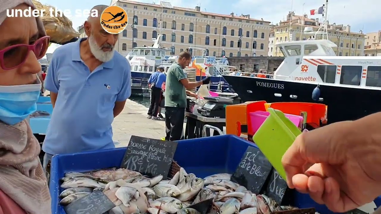 سوق السمك في مرسيليا بفرنسا.               The fish market in the old port of Marseille