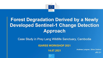 FOREST DEGRADATION DERIVED BY A NEWLY DEVELOPED SENTINEL-1 CHANGE DETECTION APPROACH