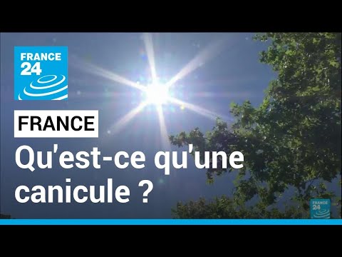 Fortes chaleurs en France : qu'est-ce qu'une canicule ? • FRANCE 24