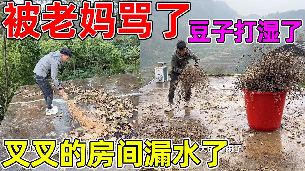 李朝　雨漏手小壺　　 No 26 李朝 雨漏手小壺 No 26 【公式通販】