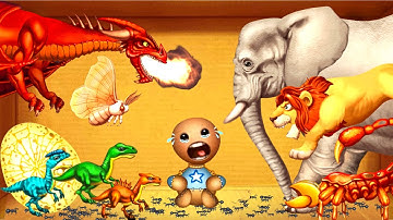 The Buddy 🆚 All Animals | Gameplay Walkthrough Android-iOS