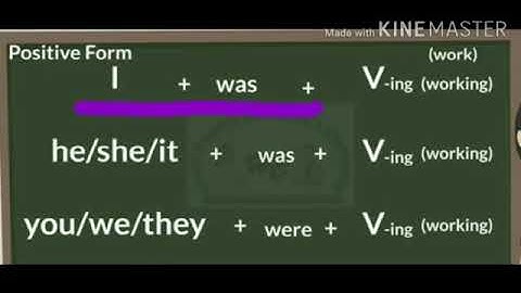 MLZS JHANSI CLASS 6 English Grammar Chapter 10 Simple Past and Past Continuous Tenses Lecture 2