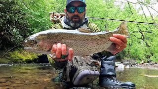 The Ultimate Fly Fishing Adventure: Exploring My Favorite Creek in WNC