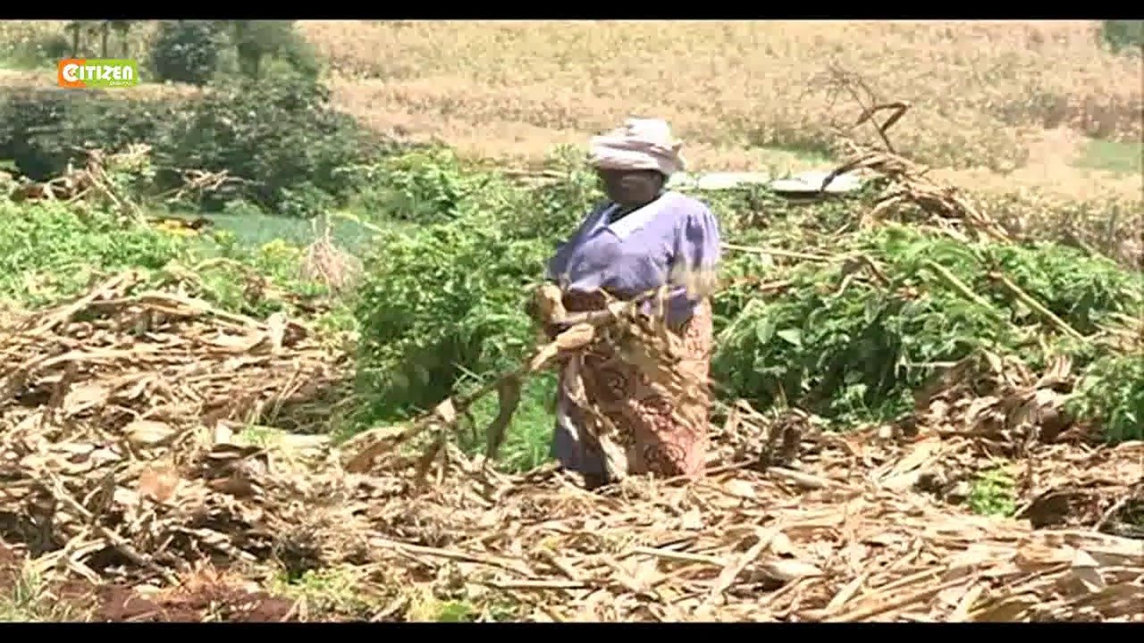 Ushauri Kwa Wakulima