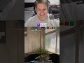 Beinahe-Disaster im Stream 😭