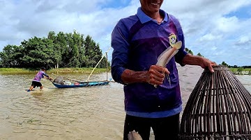 Đẩy Côn Bắt Cá Đồng Mùa Nước Nổi Ở Miền Tây | Sắc Quê Channel