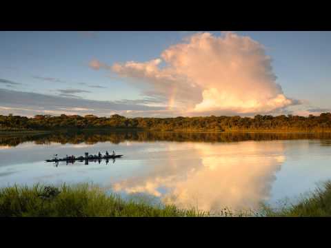 Algae Bloom — Algae Bloom - Cloud Walker ᴴᴰ