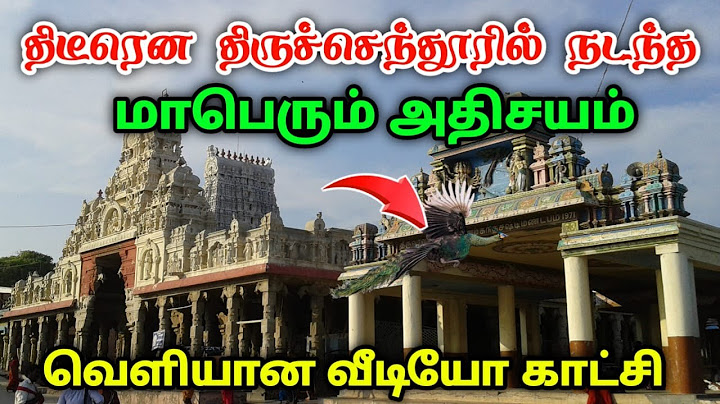 திடீரென திருச்செந்தூரில் நடந்த மாபெரும் அதிசயம் வெளியான வீடியோ காட்சி !