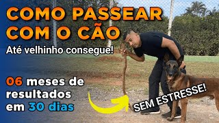 Passeio  Forma correta de você andar com o seu cão