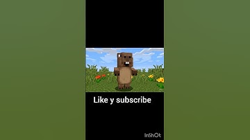 #lavachicken #minecraft #capybara