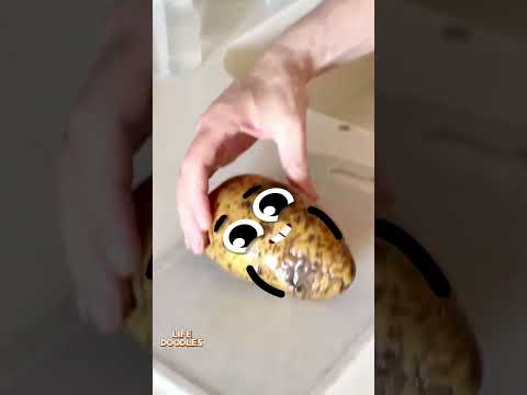 Life Doodles | Potatoes dirty and clean 😂 #lifedoodles #shorts #animation