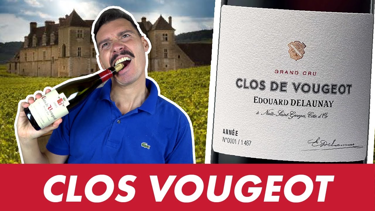 CLOS-VOUGEOT, l'iconique Grand Cru de Bourgogne que personne ne connaît ...