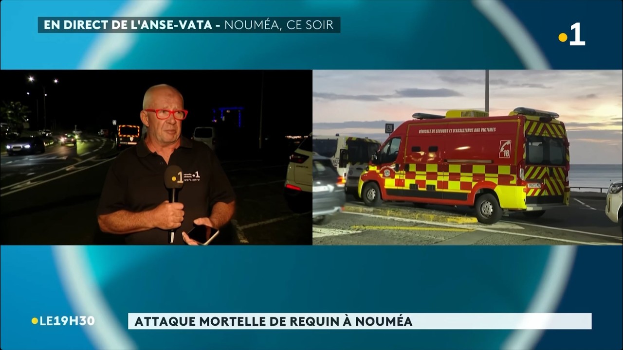 🇳🇨🦈 Un véliplanchiste tué par un requin au large de L'Anse Vata à Nouméa - 22/02/2026