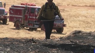 Crews battle heat and bugs in addition to blaze at Gann Fire