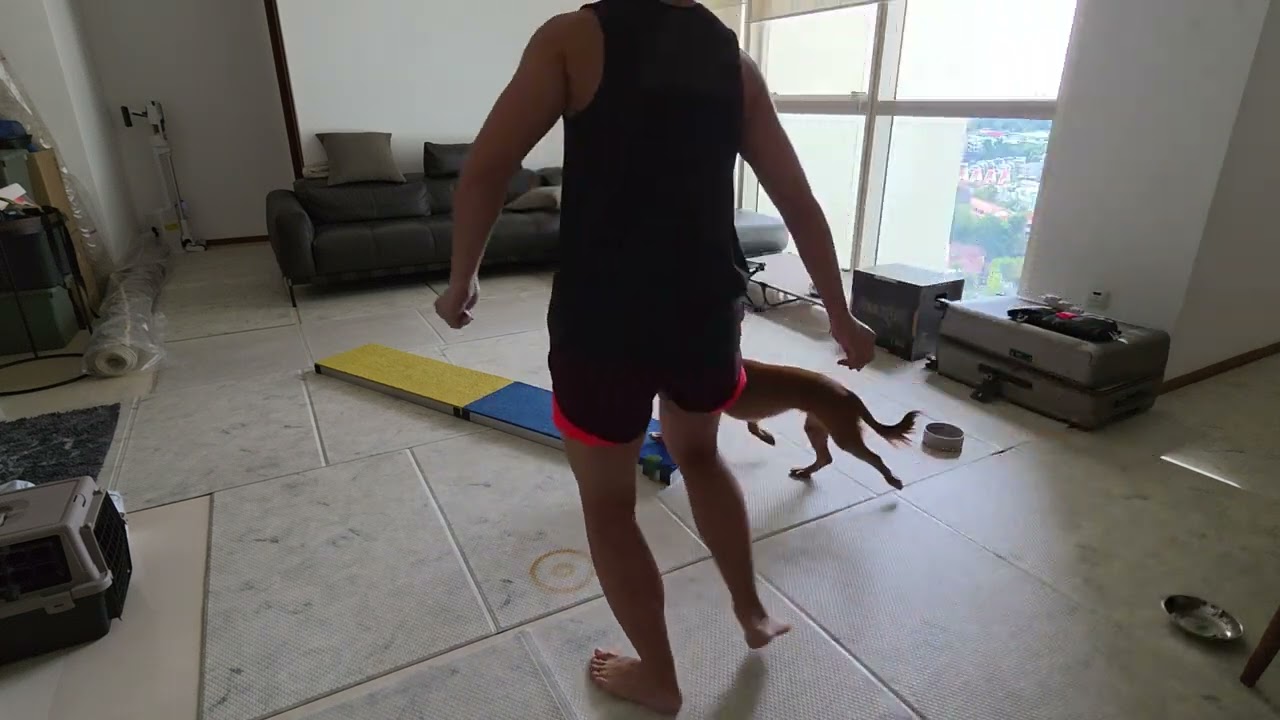 20251009 Miya SS foundation