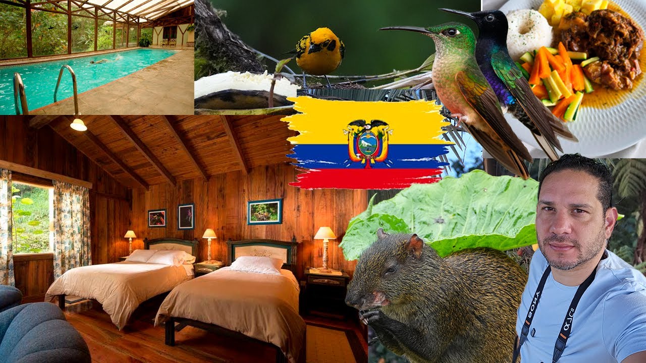 El Lodge Escondido en Ecuador que te Dejará Sin Palabras. SACHATAMIA LODGE. MINDO ECUADOR