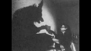 Flower Of Sin  -  Wind Breath