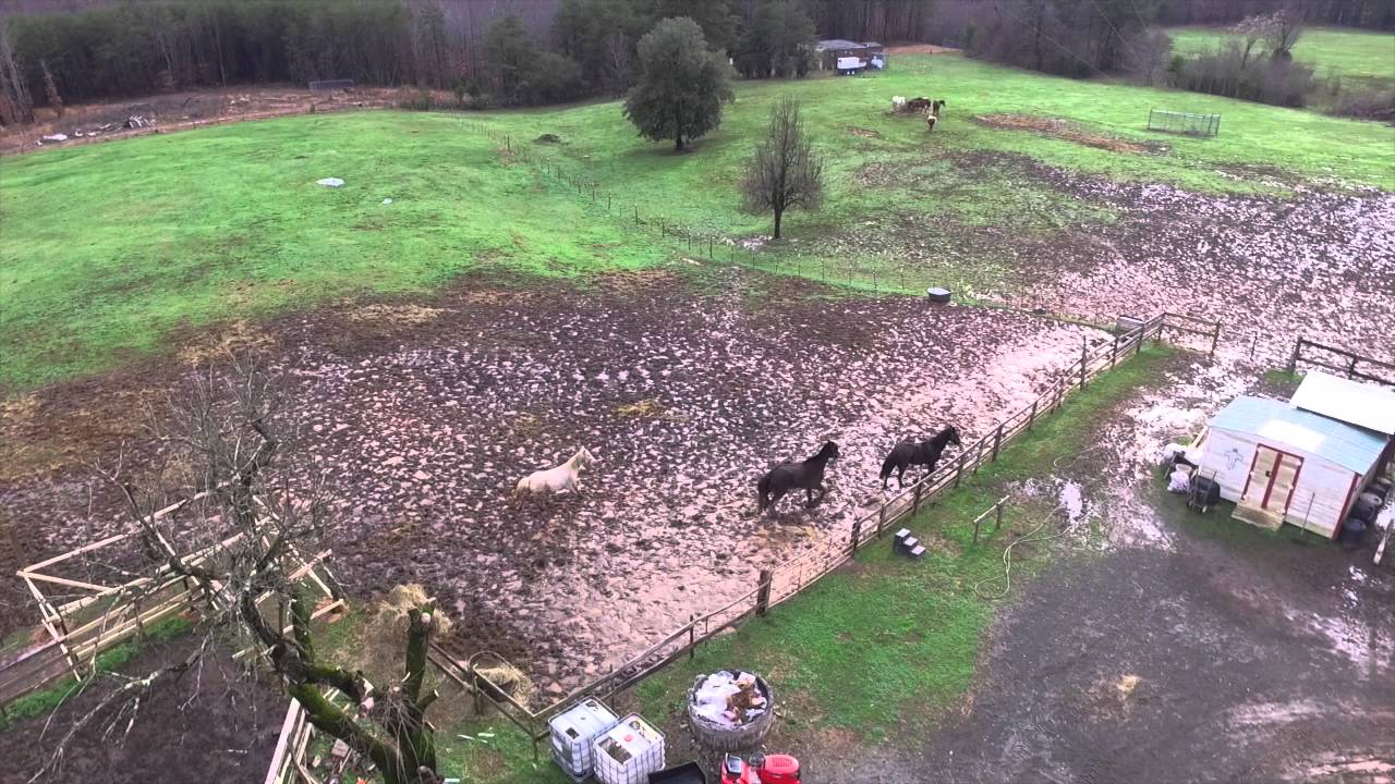 Second Chance Ranch YouTube