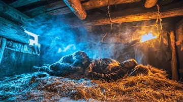 How Did Vikings Survive Blizzards Without Firewood?