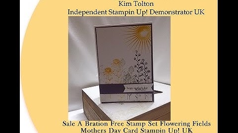 Sale A Bration Flowering Fields meets Kinda Eclectic and Teeny Tiny Sentiments Stampin Up! UK