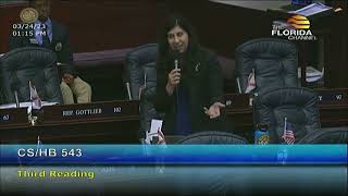 Rep. Eskamani Debates Against Permitless Carry
