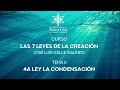 Curso GRATIS: Las 7 Leyes de la Creación - 6: Ley de la Condensación / José Luis Valle