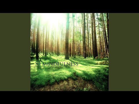 Stress Relief Music (No Anxiety or Worries)